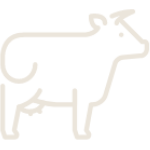 boeuf